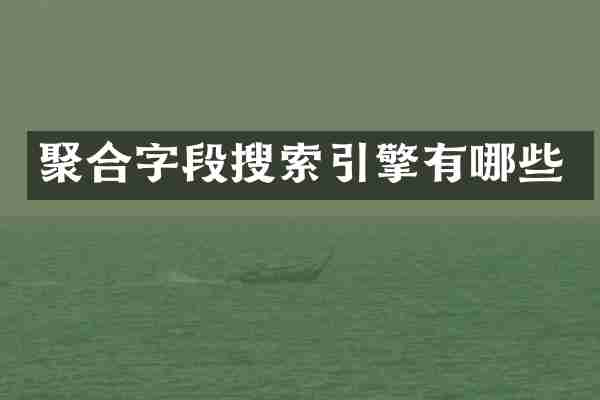 聚合字段搜索引擎有哪些
