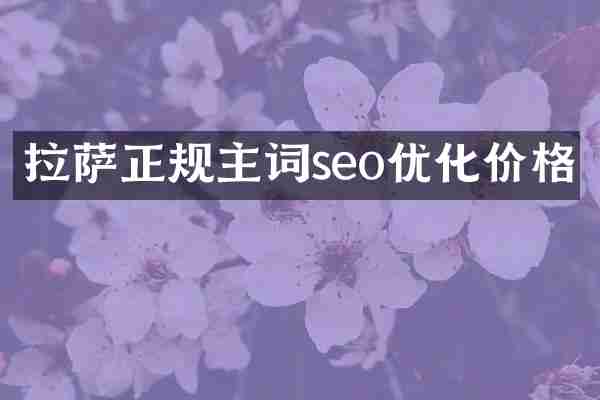 拉萨正规主词seo优化价格