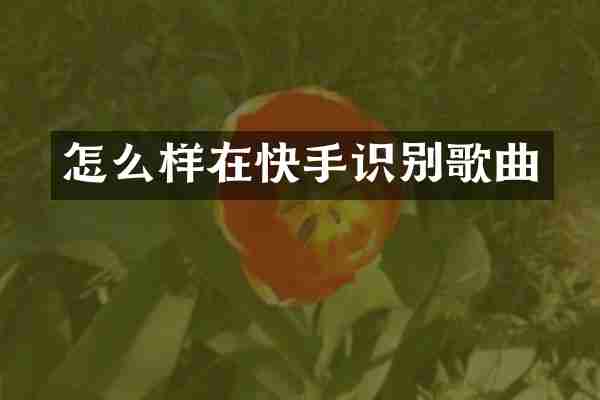 怎么样在快手识别歌曲