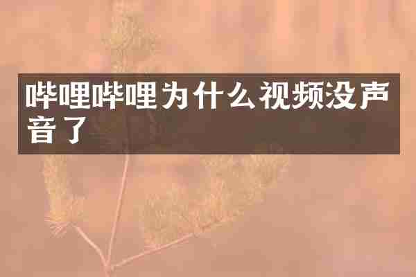 哔哩哔哩为什么视频没声音了