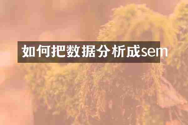 如何把数据分析成sem