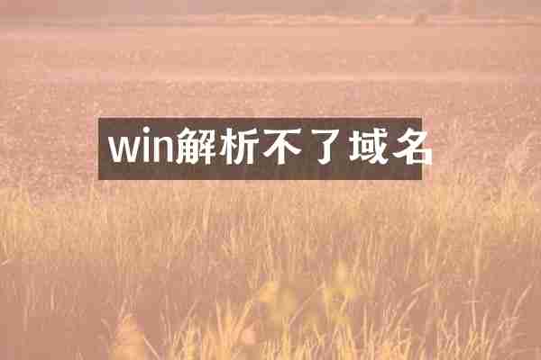 win解析不了域名