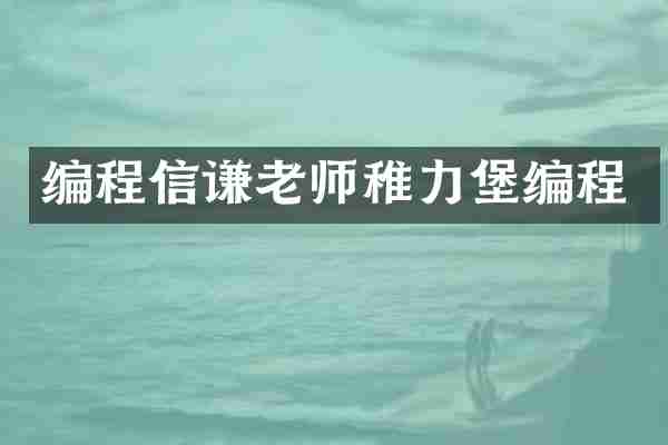 编程信谦老师稚力堡编程