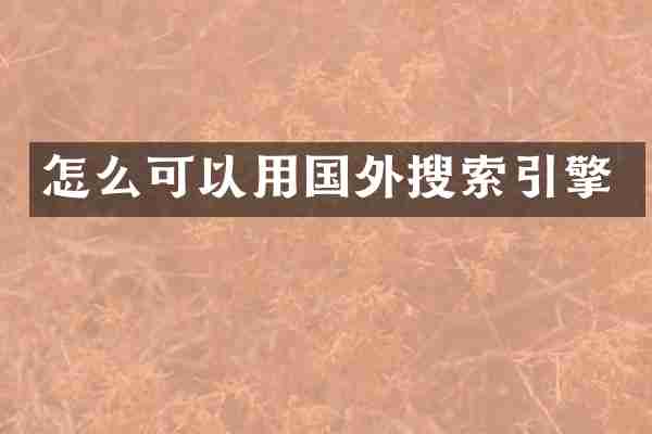 怎么可以用国外搜索引擎