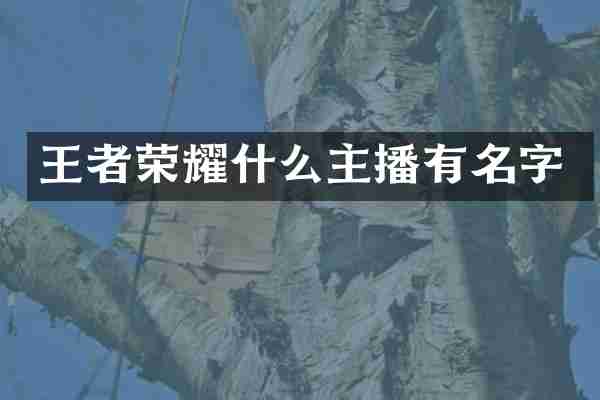 王者荣耀什么主播有名字