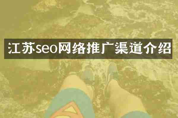 江苏seo网络推广渠道介绍