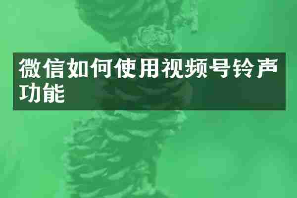 微信如何使用视频号铃声功能