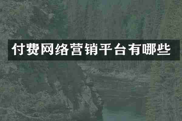 付费网络营销平台有哪些