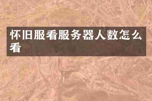 怀旧服看服务器人数怎么看