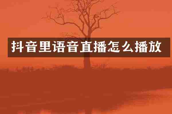 抖音里语音直播怎么播放
