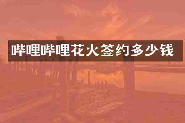 哔哩哔哩花火签约多少钱