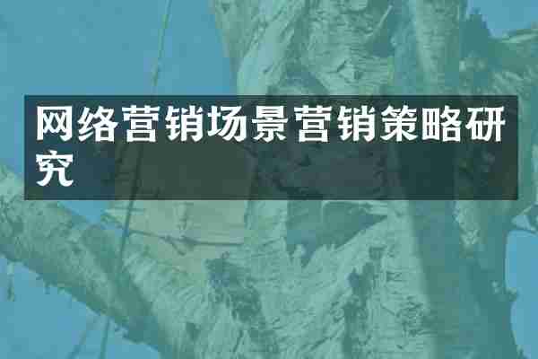 网络营销场景营销策略研究