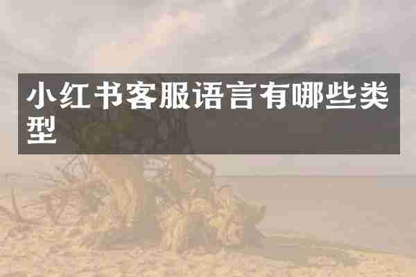 小红书客服语言有哪些类型
