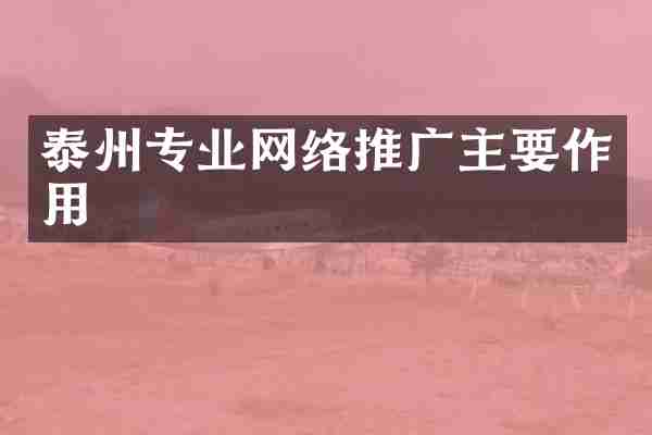 泰州专业网络推广主要作用