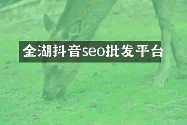 金湖抖音seo批发平台