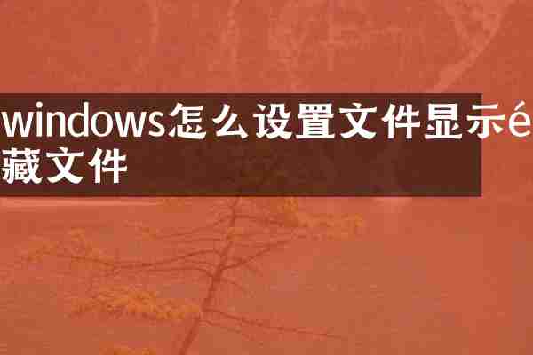 windows怎么设置文件显示隐藏文件