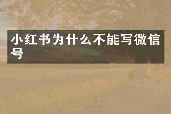 小红书为什么不能写微信号