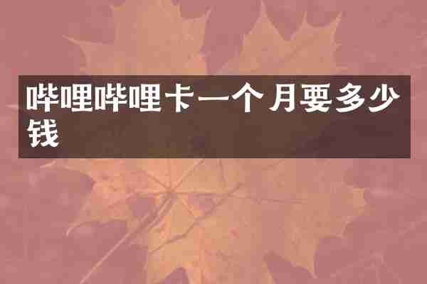 哔哩哔哩卡一个月要多少钱