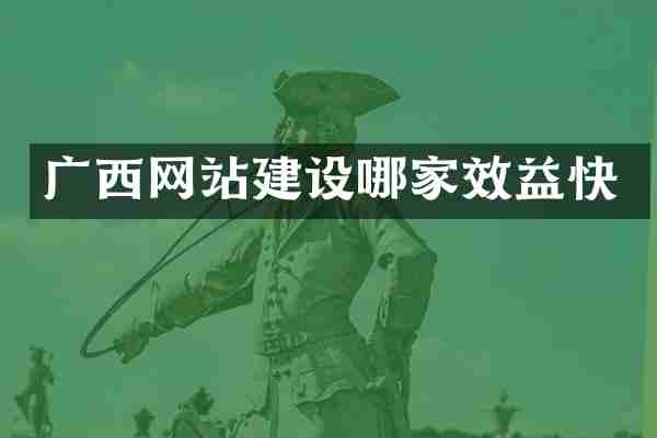 广西网站建设哪家效益快