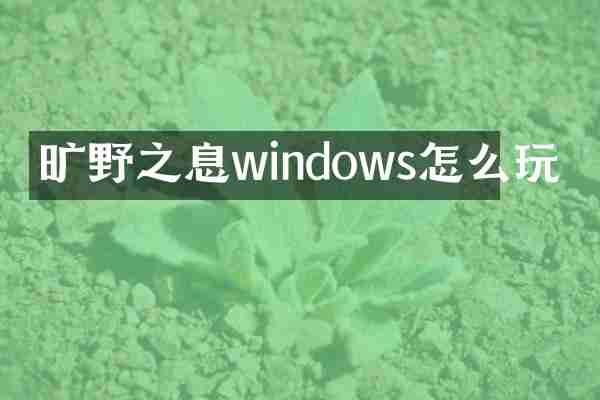 旷野之息windows怎么玩