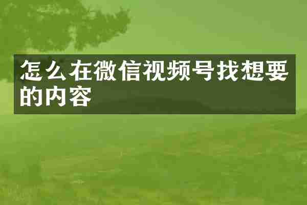 怎么在微信视频号找想要的内容