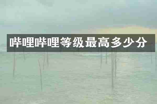 哔哩哔哩等级最高多少分