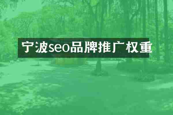 宁波seo品牌推广权重