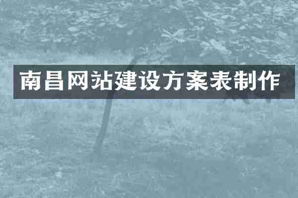 南昌网站建设方案表制作