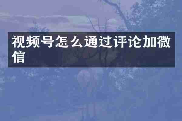 视频号怎么通过评论加微信