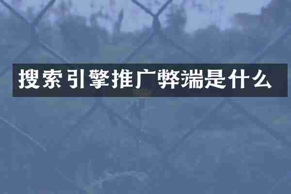 搜索引擎推广弊端是什么