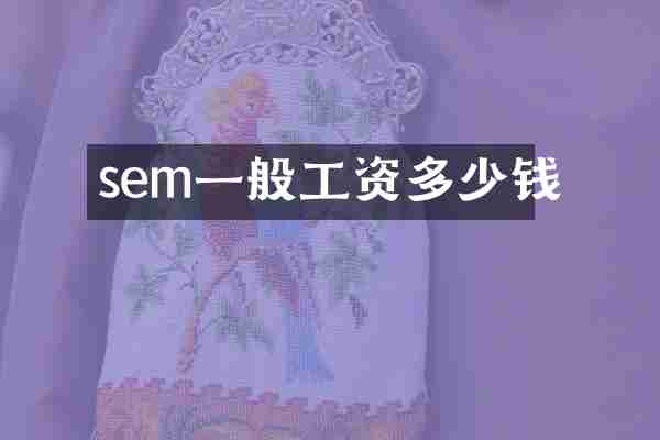 sem一般工资多少钱