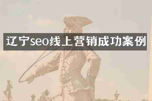 辽宁seo线上营销成功案例
