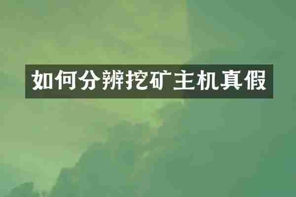 如何分辨挖矿主机真假