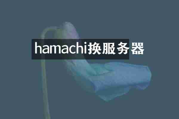 hamachi换服务器