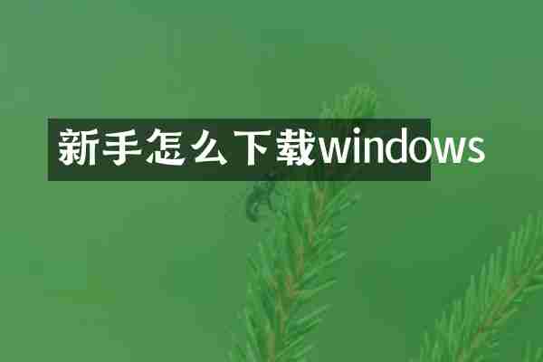 新手怎么下载windows
