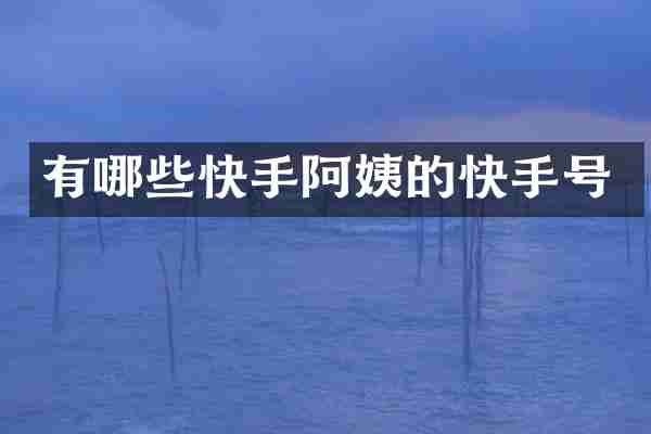 有哪些快手阿姨的快手号