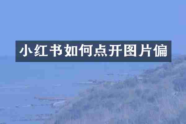 小红书如何点开图片偏