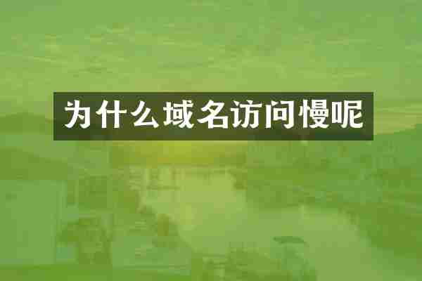 为什么域名访问慢呢
