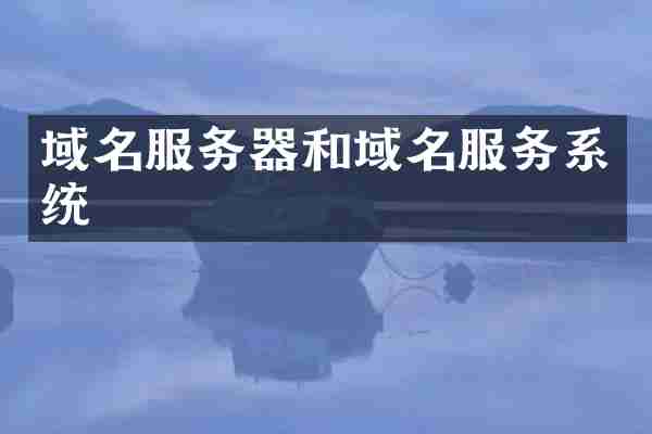 域名服务器和域名服务系统