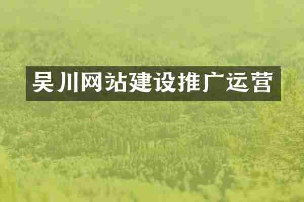 吴川网站建设推广运营