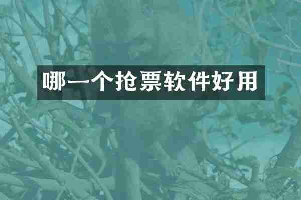 哪一个抢票软件好用