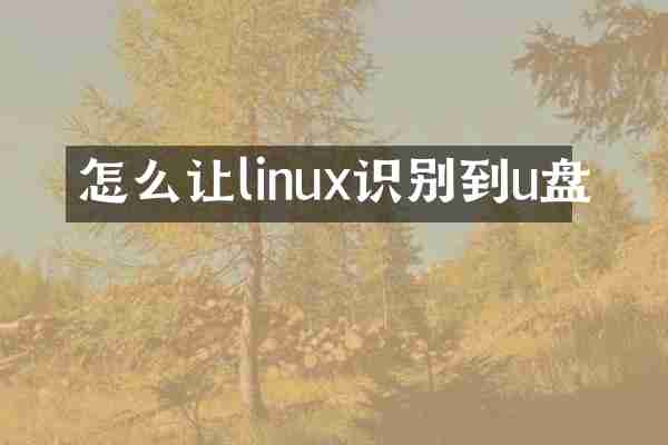 怎么让linux识别到u盘