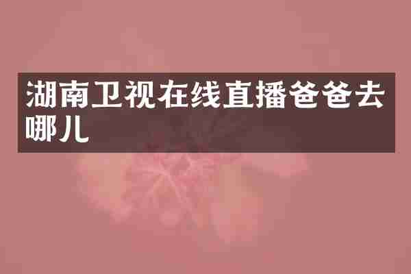 湖南卫视在线直播爸爸去哪儿