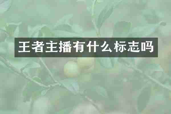 王者主播有什么标志吗