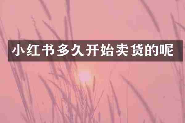小红书多久开始卖货的呢