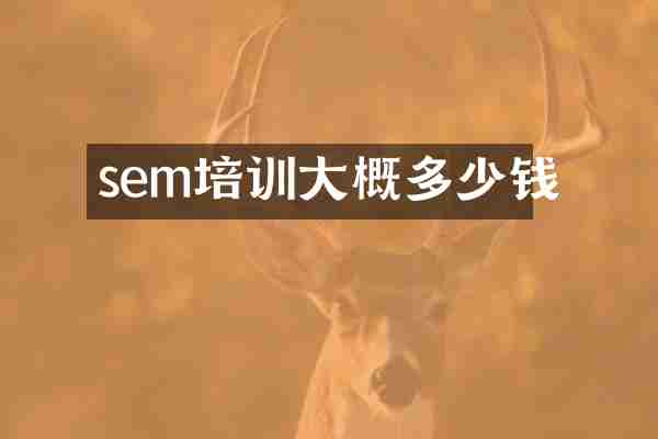 sem培训大概多少钱