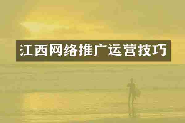 江西网络推广运营技巧