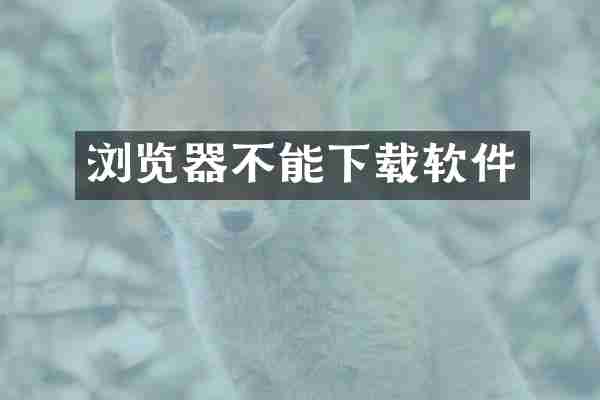 浏览器不能下载软件