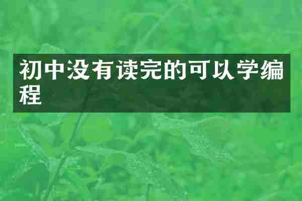 初中没有读完的可以学编程