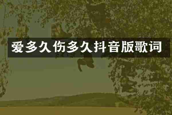 爱多久伤多久抖音版歌词